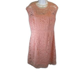 Measeor lace dress